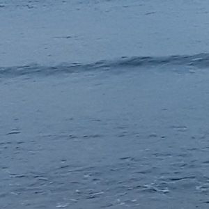 Meet your Posher, Lucas